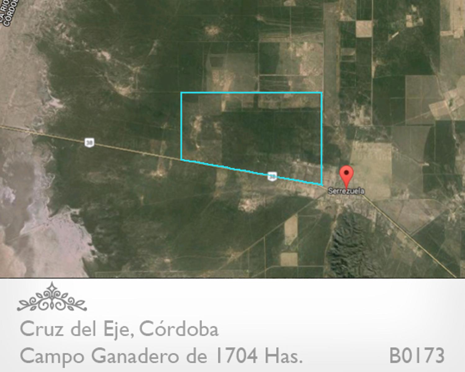CAMPO GANADERO DE 1704 HAS EN SERREZUELA, CRUZ DEL EJE, CÓRDOBA COMPLETAMENTE ARMADO. PEGADO AL PUEBLO SOBRE RUTA 38. - 10