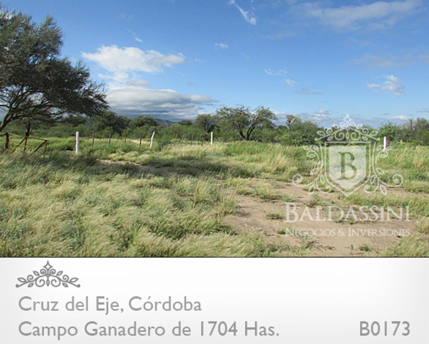 CAMPO GANADERO DE 1704 HAS EN SERREZUELA, CRUZ DEL EJE, CÓRDOBA COMPLETAMENTE ARMADO. PEGADO AL PUEBLO SOBRE RUTA 38. - 11