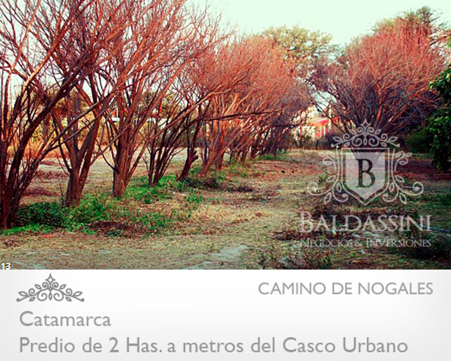 IMPORTANTE FRACCIÓN DE 2 HAS EN EL CENTRO DE CATAMARCA. IDEAL PARA PRENDIMIENTO COMERCIAL O INSTITUCIONAL. A 10 CUADRAS DE LA PLAZA 25 DE MAYO. - 1