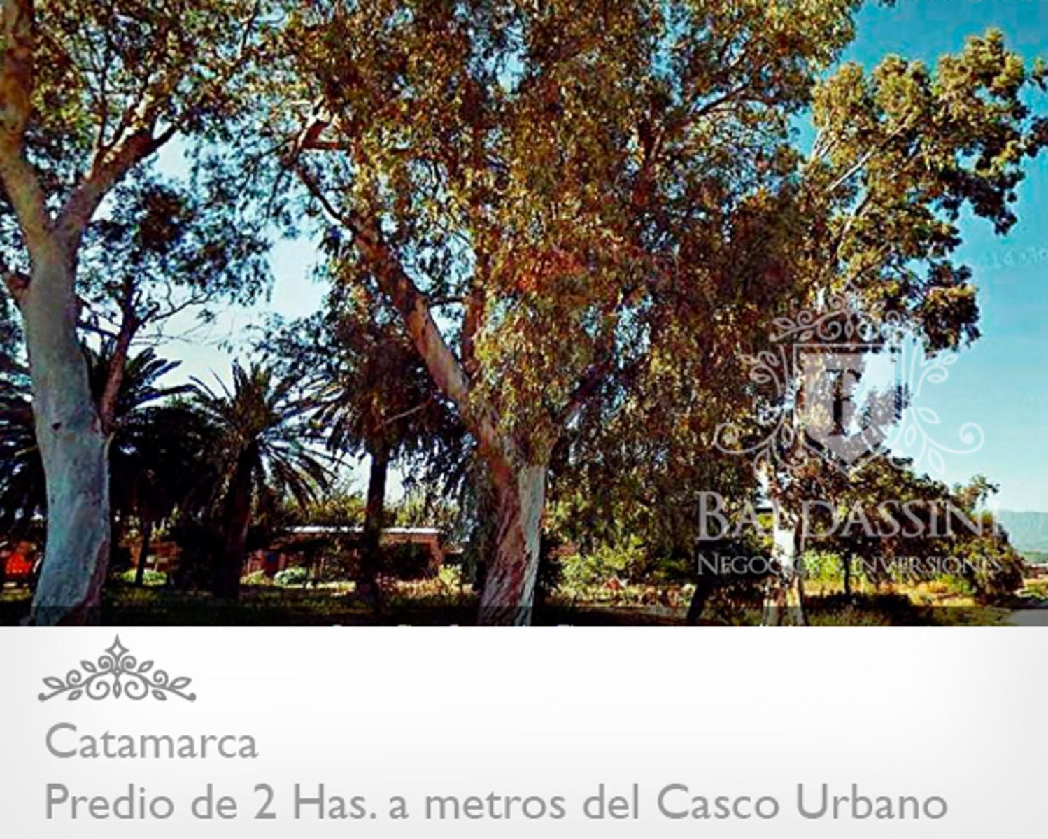 IMPORTANTE FRACCIÓN DE 2 HAS EN EL CENTRO DE CATAMARCA. IDEAL PARA PRENDIMIENTO COMERCIAL O INSTITUCIONAL. A 10 CUADRAS DE LA PLAZA 25 DE MAYO. - 3