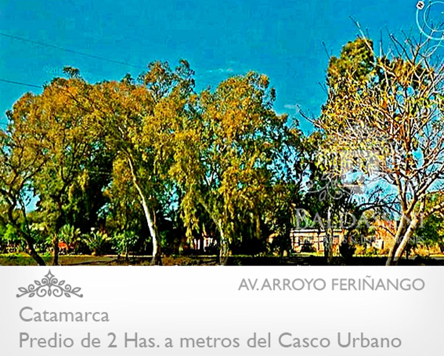 IMPORTANTE FRACCIÓN DE 2 HAS EN EL CENTRO DE CATAMARCA. IDEAL PARA PRENDIMIENTO COMERCIAL O INSTITUCIONAL. A 10 CUADRAS DE LA PLAZA 25 DE MAYO. - 5