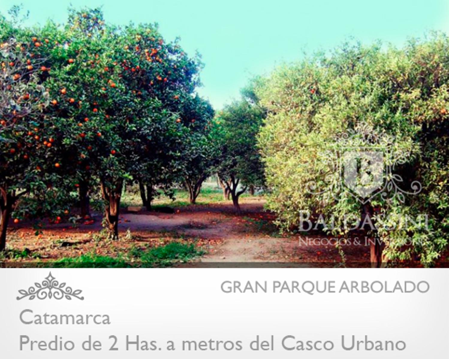 Consultar precio (3241-B0167)
IMPORTANTE FRACCIÓN DE 2 HAS EN EL CENTRO DE CATAMARCA. IDEAL PARA PRENDIMIENTO COMERCIAL O INSTITUCIONAL. A 10 CUADRAS DE LA PLAZA 25 DE MAYO. - 6