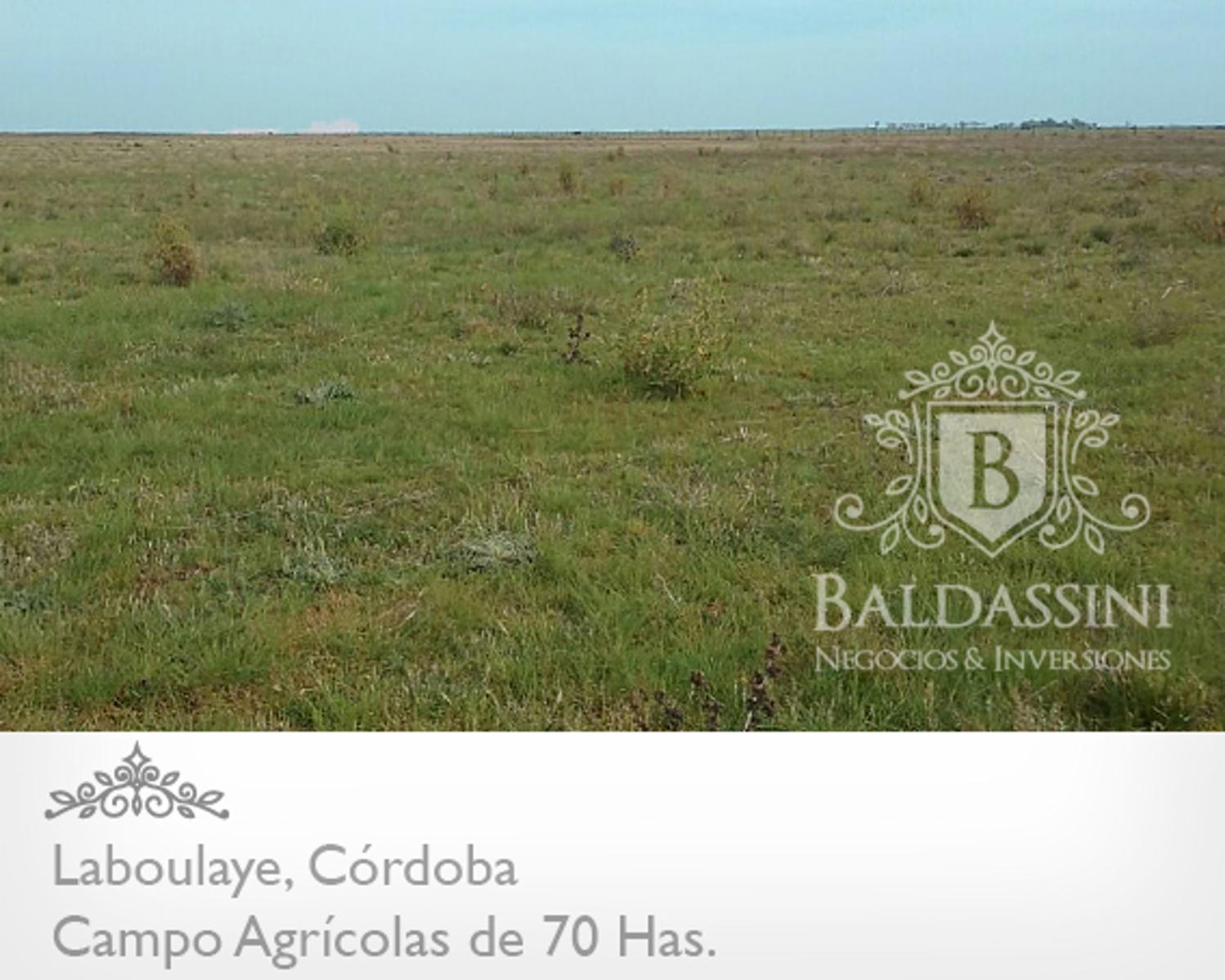 CAMPO AGRÍCOLA DE 70 HAS. PARTE DE UN CONDOMINIO DE 222 HAS. BUENOS RINDES DE SOJA -- CERCA DE LA RUTA 7 - CAMPO SIN SALITRE - SE VENDEN LAS 222 HAS. - 1