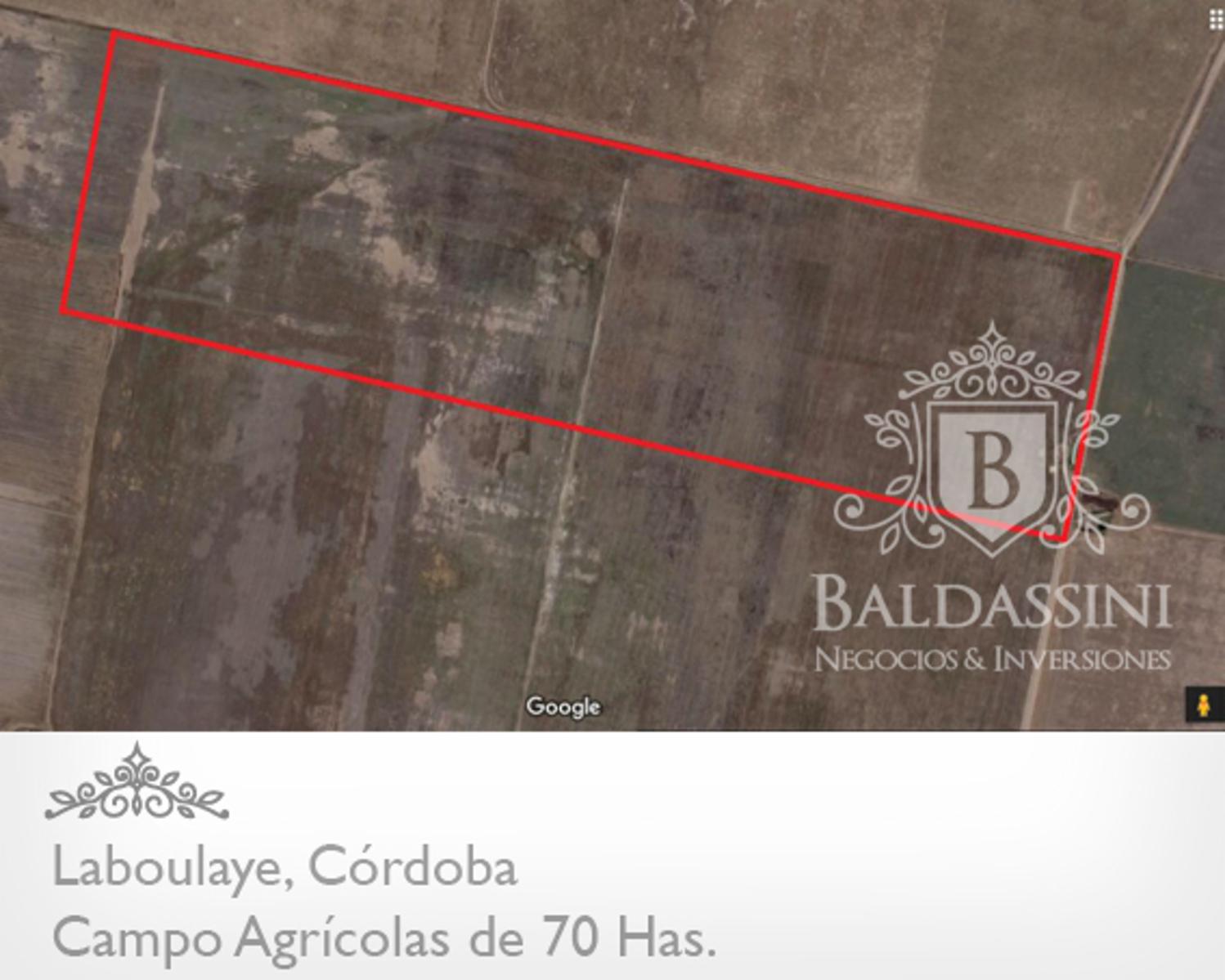 CAMPO AGRÍCOLA DE 70 HAS. PARTE DE UN CONDOMINIO DE 222 HAS. BUENOS RINDES DE SOJA -- CERCA DE LA RUTA 7 - CAMPO SIN SALITRE - SE VENDEN LAS 222 HAS. - 2