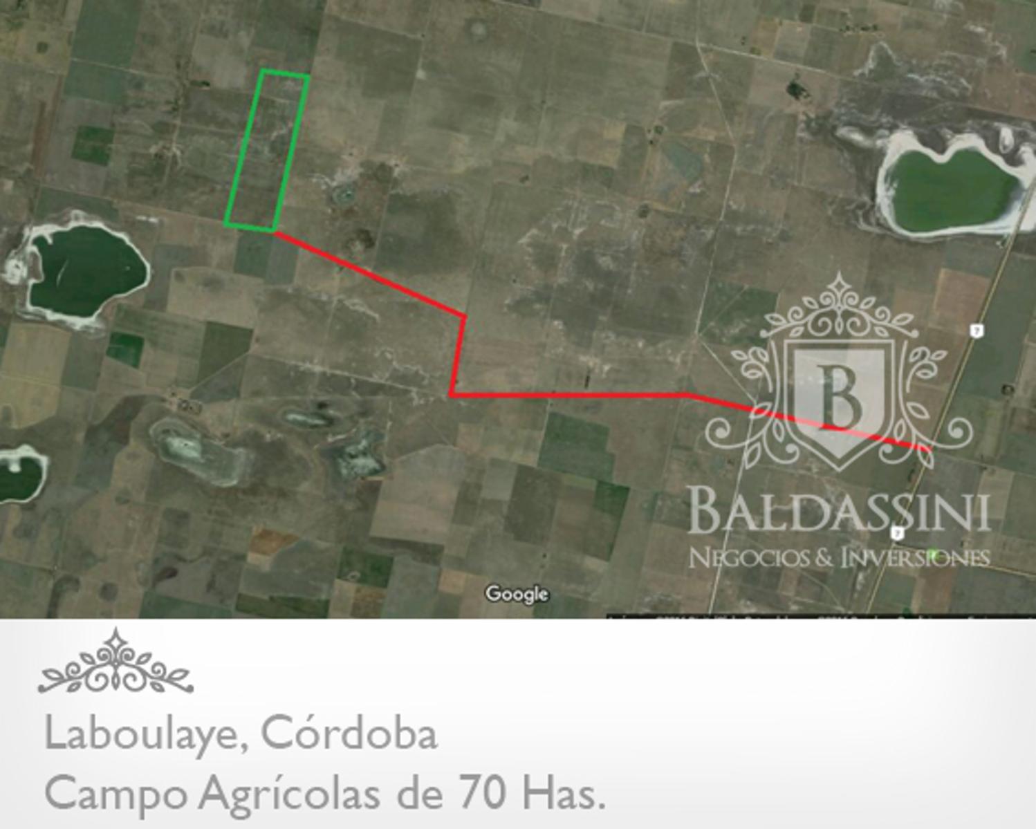 CAMPO AGRÍCOLA DE 70 HAS. PARTE DE UN CONDOMINIO DE 222 HAS. BUENOS RINDES DE SOJA -- CERCA DE LA RUTA 7 - CAMPO SIN SALITRE - SE VENDEN LAS 222 HAS. - 3