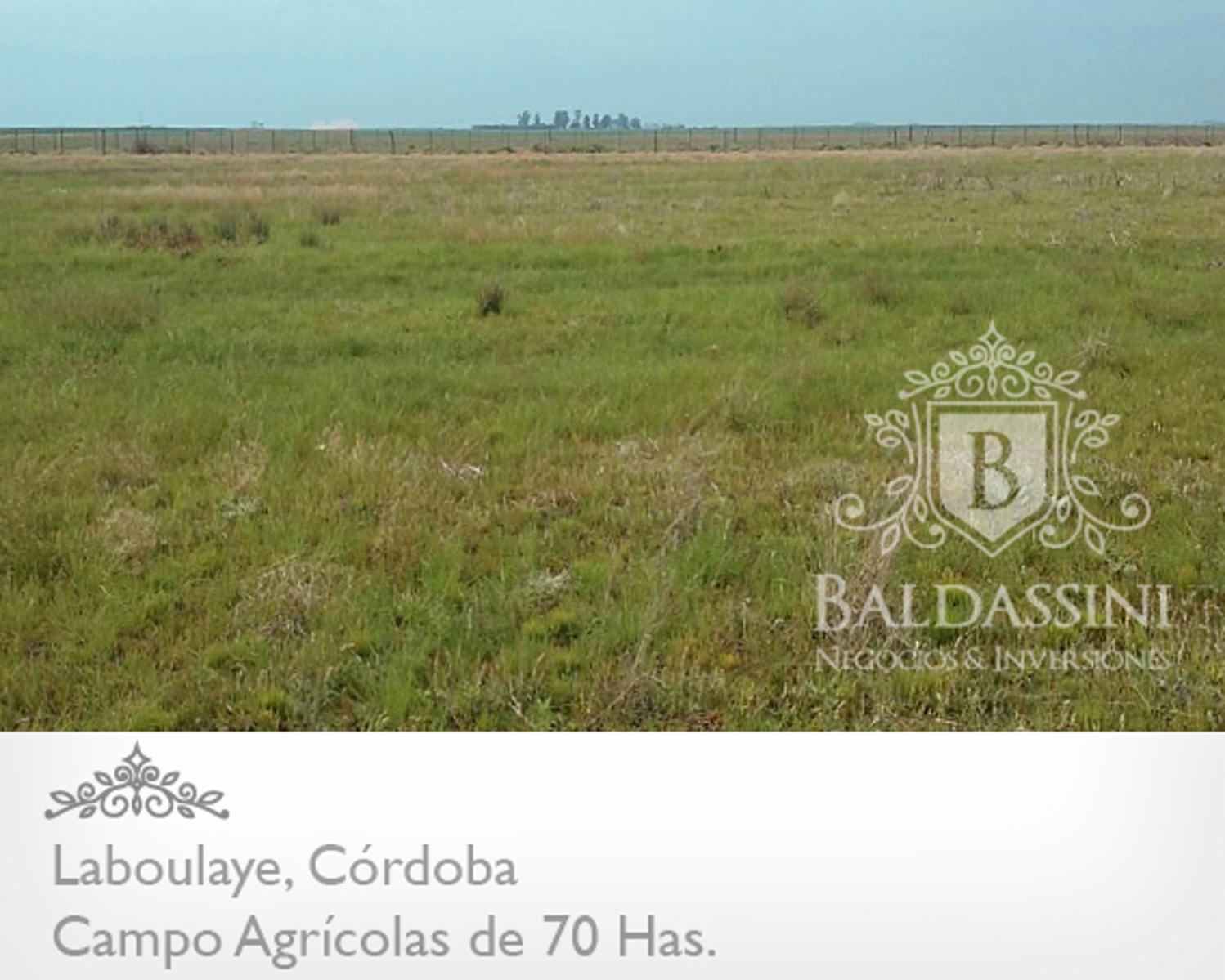 CAMPO AGRÍCOLA DE 70 HAS. PARTE DE UN CONDOMINIO DE 222 HAS. BUENOS RINDES DE SOJA -- CERCA DE LA RUTA 7 - CAMPO SIN SALITRE - SE VENDEN LAS 222 HAS. - 4