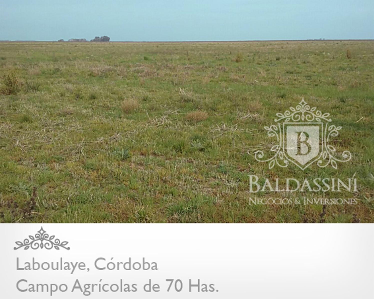 CAMPO AGRÍCOLA DE 70 HAS. PARTE DE UN CONDOMINIO DE 222 HAS. BUENOS RINDES DE SOJA -- CERCA DE LA RUTA 7 - CAMPO SIN SALITRE - SE VENDEN LAS 222 HAS. - 5