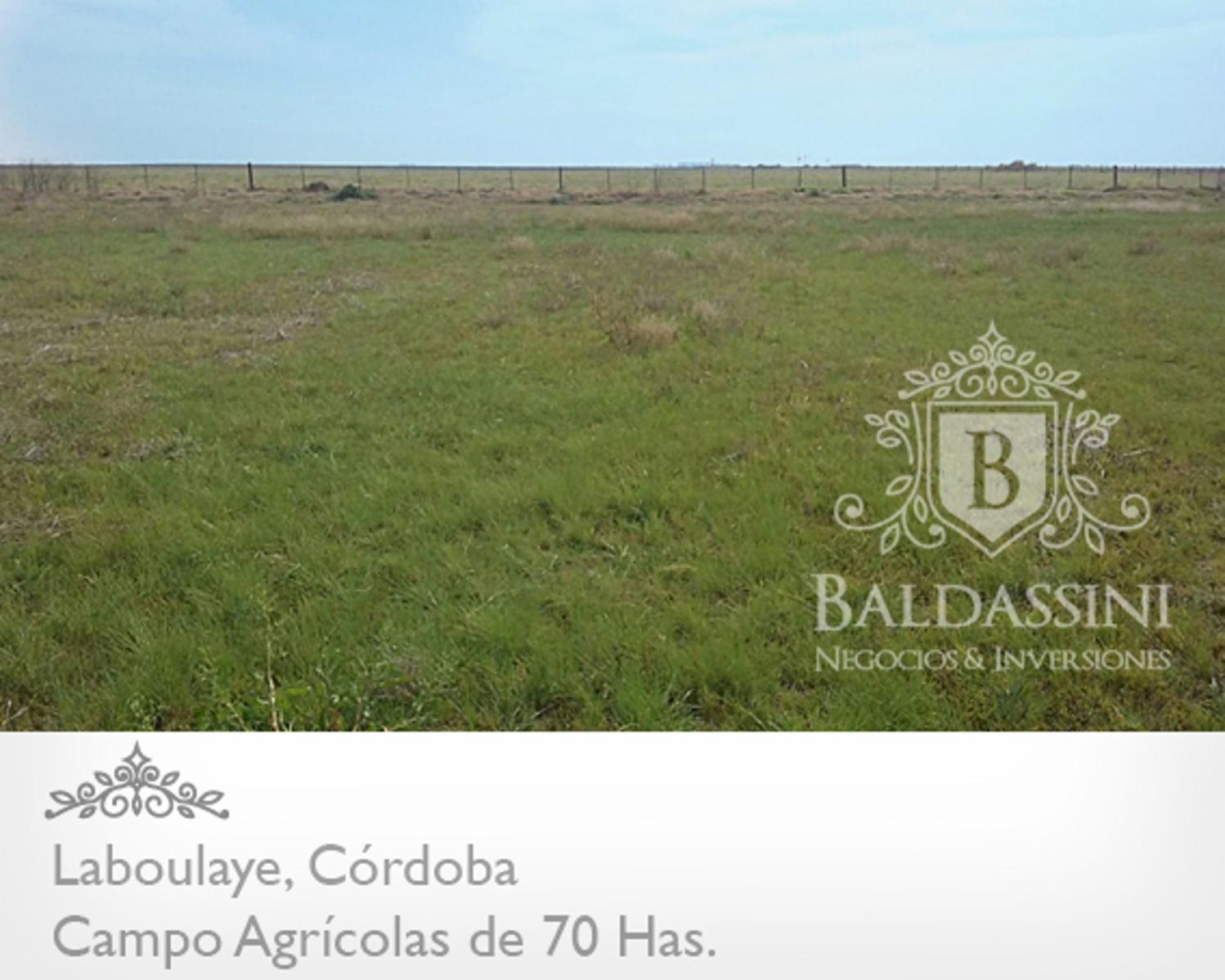 CAMPO AGRÍCOLA DE 70 HAS. PARTE DE UN CONDOMINIO DE 222 HAS. BUENOS RINDES DE SOJA -- CERCA DE LA RUTA 7 - CAMPO SIN SALITRE - SE VENDEN LAS 222 HAS. - 6