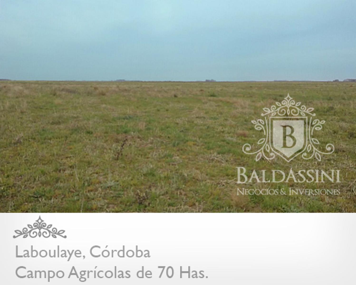 CAMPO AGRÍCOLA DE 70 HAS. PARTE DE UN CONDOMINIO DE 222 HAS. BUENOS RINDES DE SOJA -- CERCA DE LA RUTA 7 - CAMPO SIN SALITRE - SE VENDEN LAS 222 HAS. - 7
