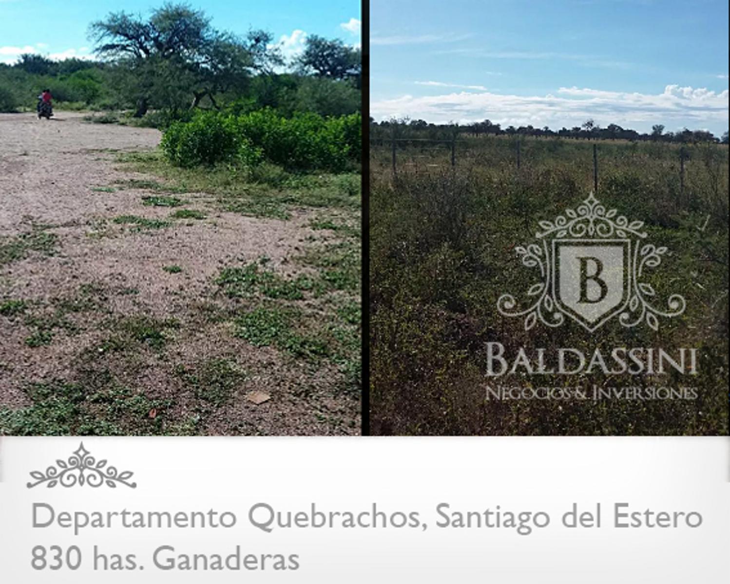 830 HAS. EN DEPARTAMENTO QUEBRACHOS - SANTIAGO DEL ESTERO - CAMPO UBICADO EN GRAN ZONA. DESOCUPADO - 1
