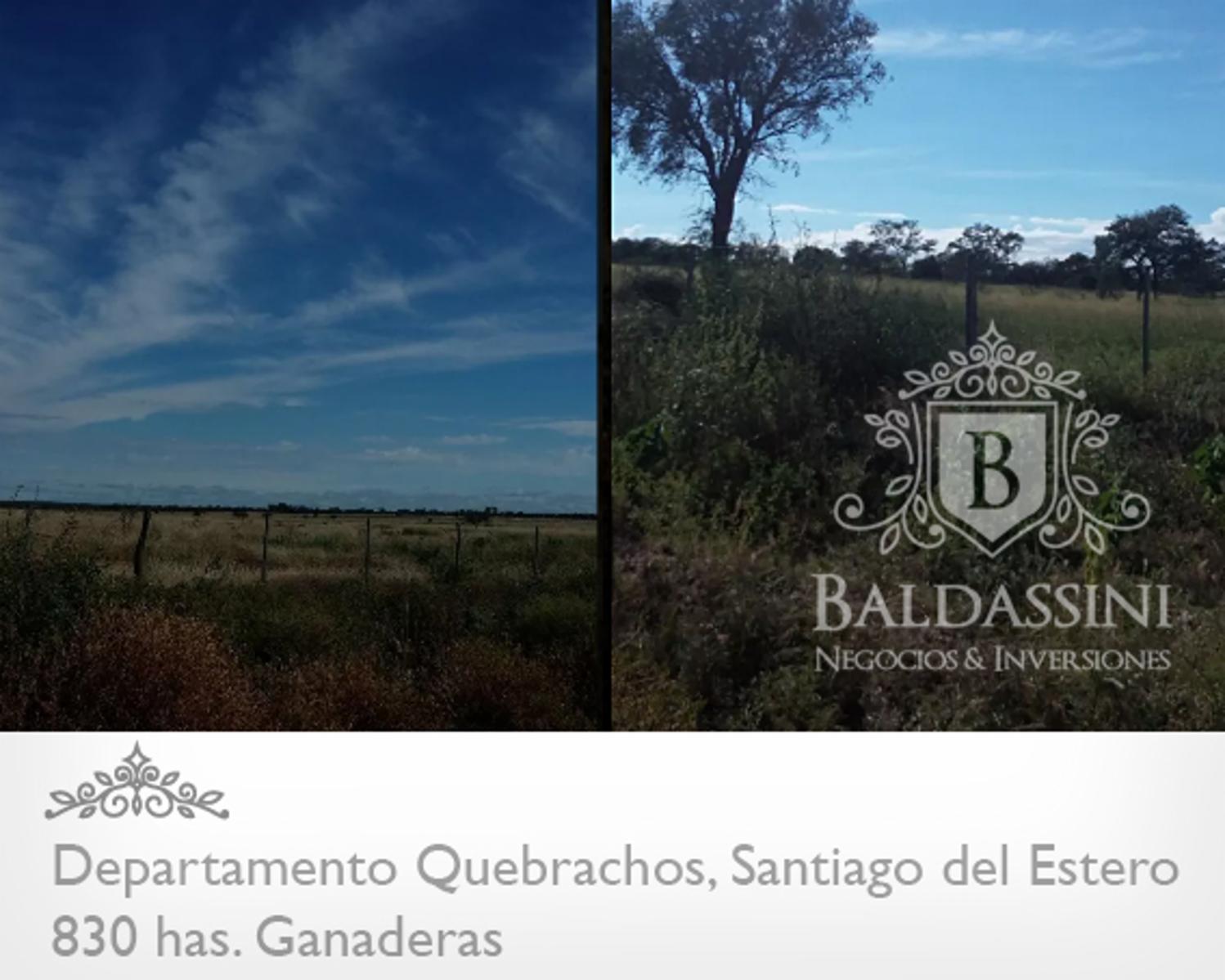 830 HAS. EN DEPARTAMENTO QUEBRACHOS - SANTIAGO DEL ESTERO - CAMPO UBICADO EN GRAN ZONA. DESOCUPADO - 3