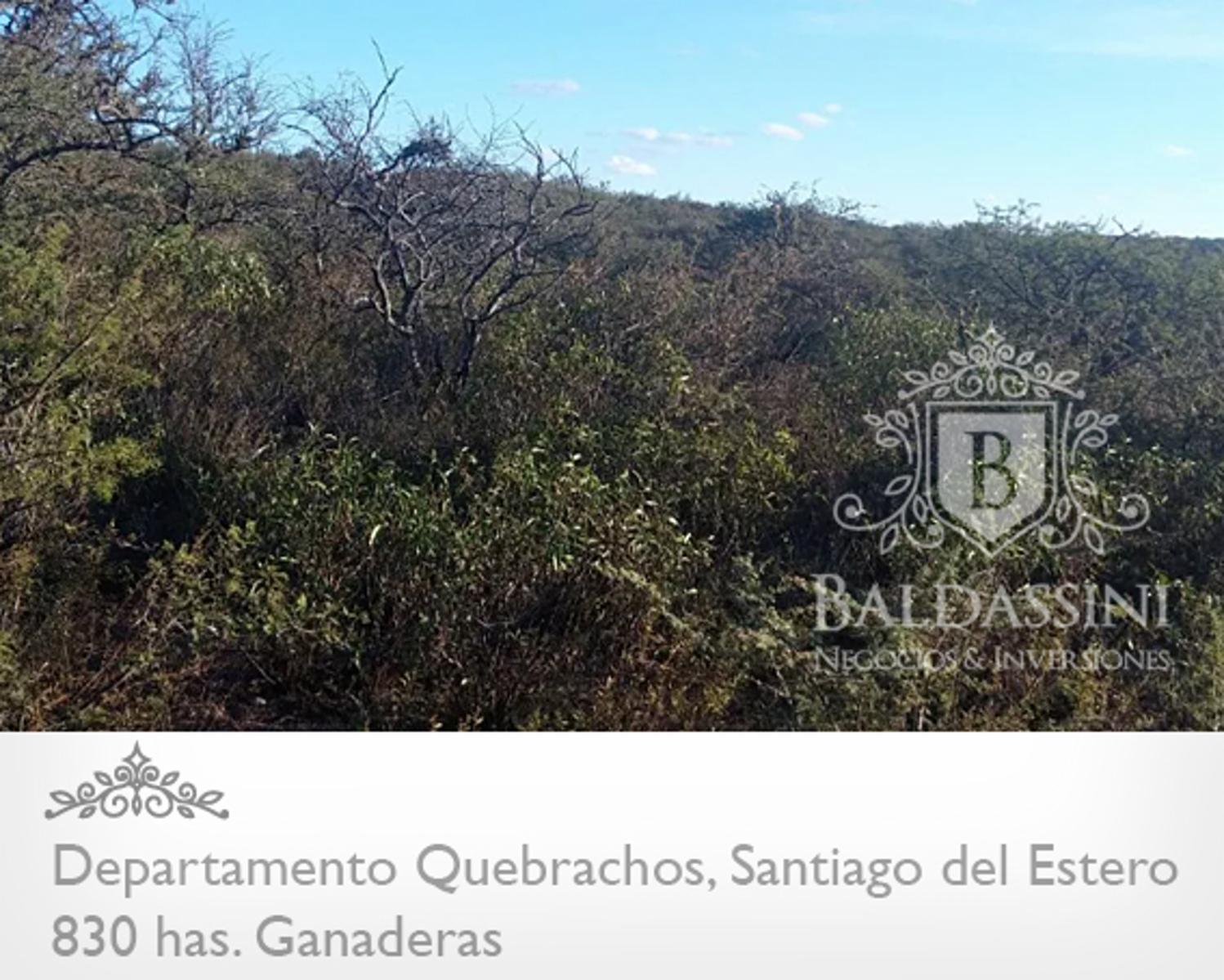 830 HAS. EN DEPARTAMENTO QUEBRACHOS - SANTIAGO DEL ESTERO - CAMPO UBICADO EN GRAN ZONA. DESOCUPADO - 4