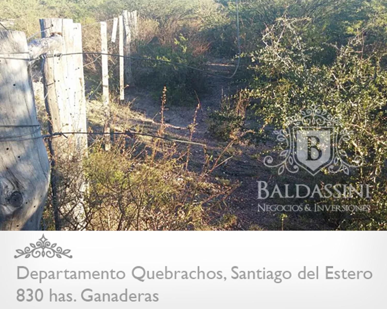 830 HAS. EN DEPARTAMENTO QUEBRACHOS - SANTIAGO DEL ESTERO - CAMPO UBICADO EN GRAN ZONA. DESOCUPADO - 5