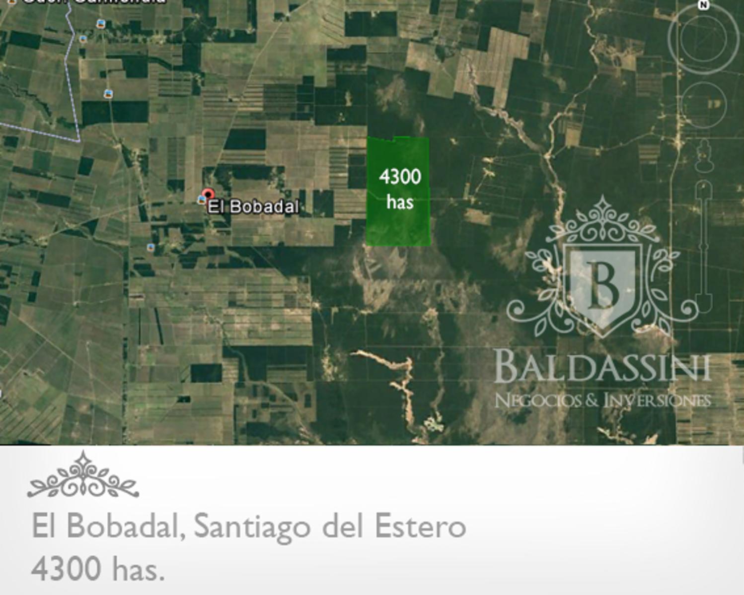 4300 HAS. EN EL BOBADAL. SANTIAGO DEL ESTERO. CAMPO ALAMBRADO. ESCRITURA. - 1