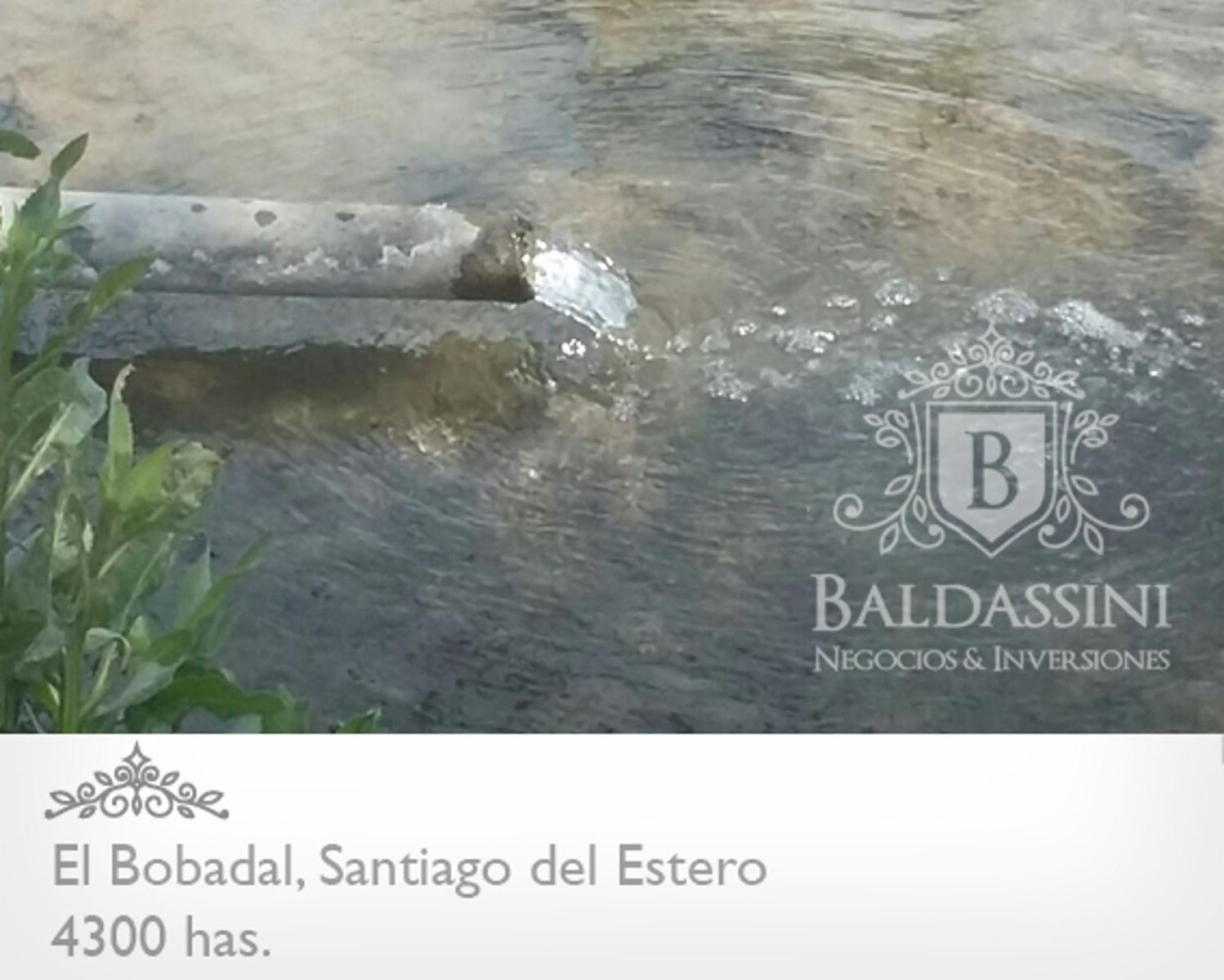 4300 HAS. EN EL BOBADAL. SANTIAGO DEL ESTERO. CAMPO ALAMBRADO. ESCRITURA. - 2