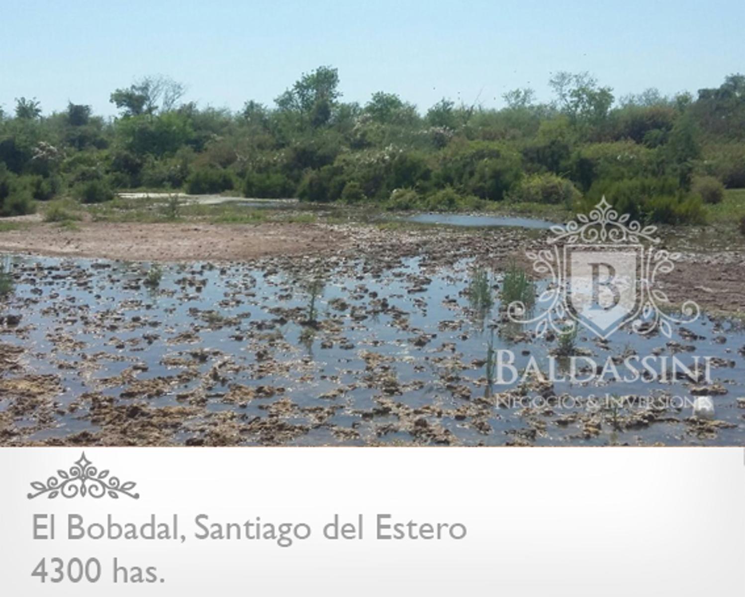 4300 HAS. EN EL BOBADAL. SANTIAGO DEL ESTERO. CAMPO ALAMBRADO. ESCRITURA. - 4