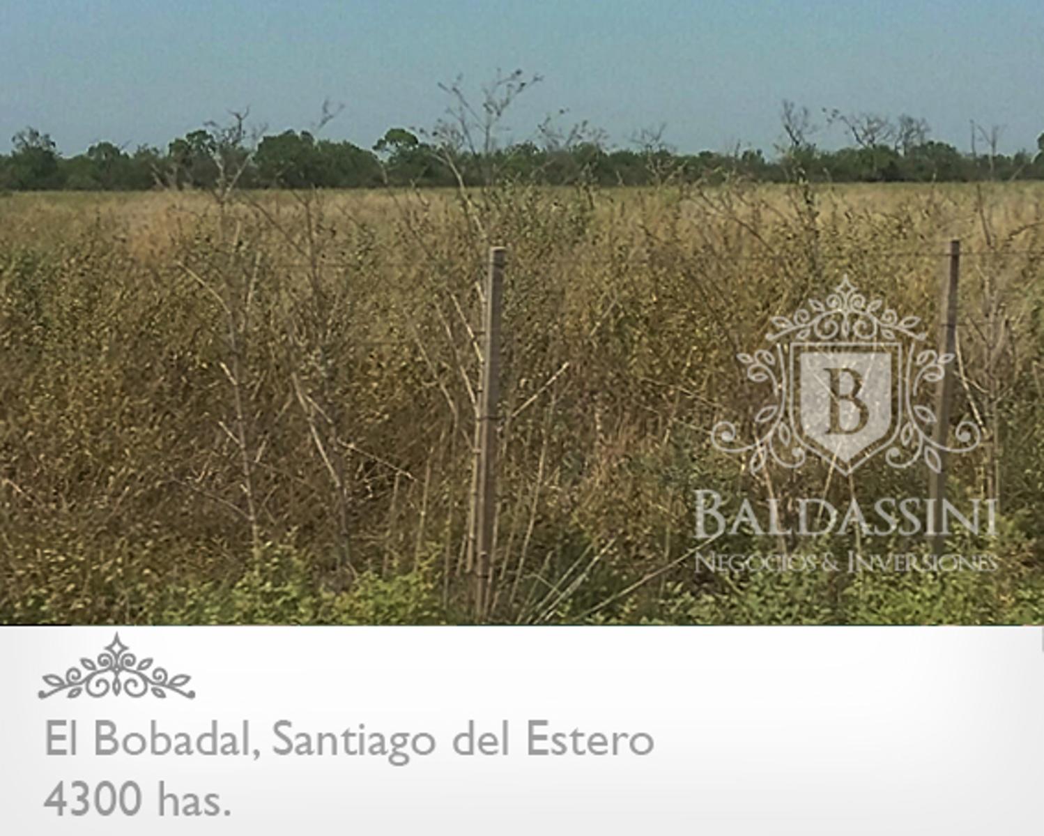 4300 HAS. EN EL BOBADAL. SANTIAGO DEL ESTERO. CAMPO ALAMBRADO. ESCRITURA. - 5