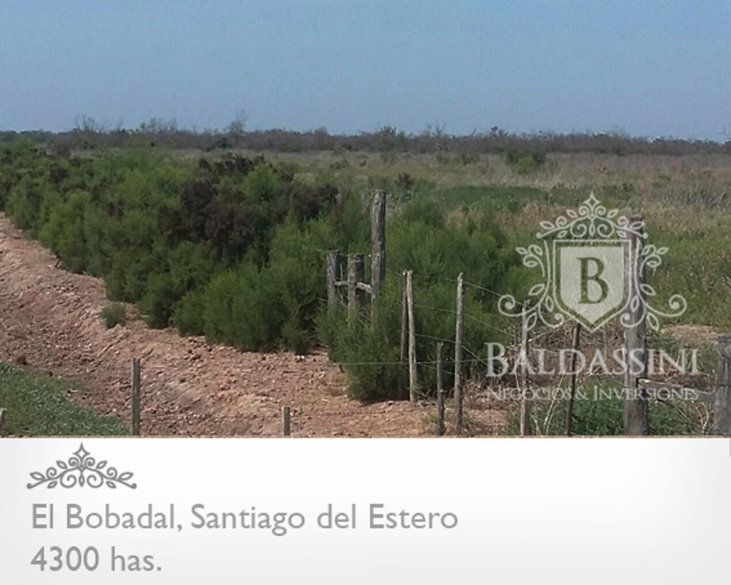4300 HAS. EN EL BOBADAL. SANTIAGO DEL ESTERO. CAMPO ALAMBRADO. ESCRITURA. - 6