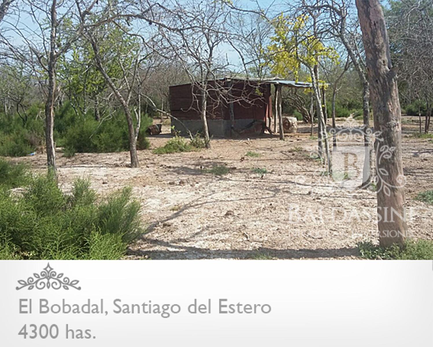 4300 HAS. EN EL BOBADAL. SANTIAGO DEL ESTERO. CAMPO ALAMBRADO. ESCRITURA. - 7