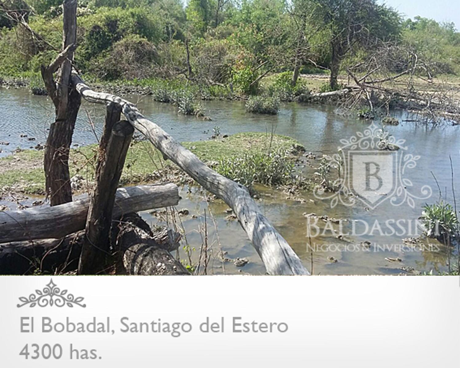 4300 HAS. EN EL BOBADAL. SANTIAGO DEL ESTERO. CAMPO ALAMBRADO. ESCRITURA. - 8