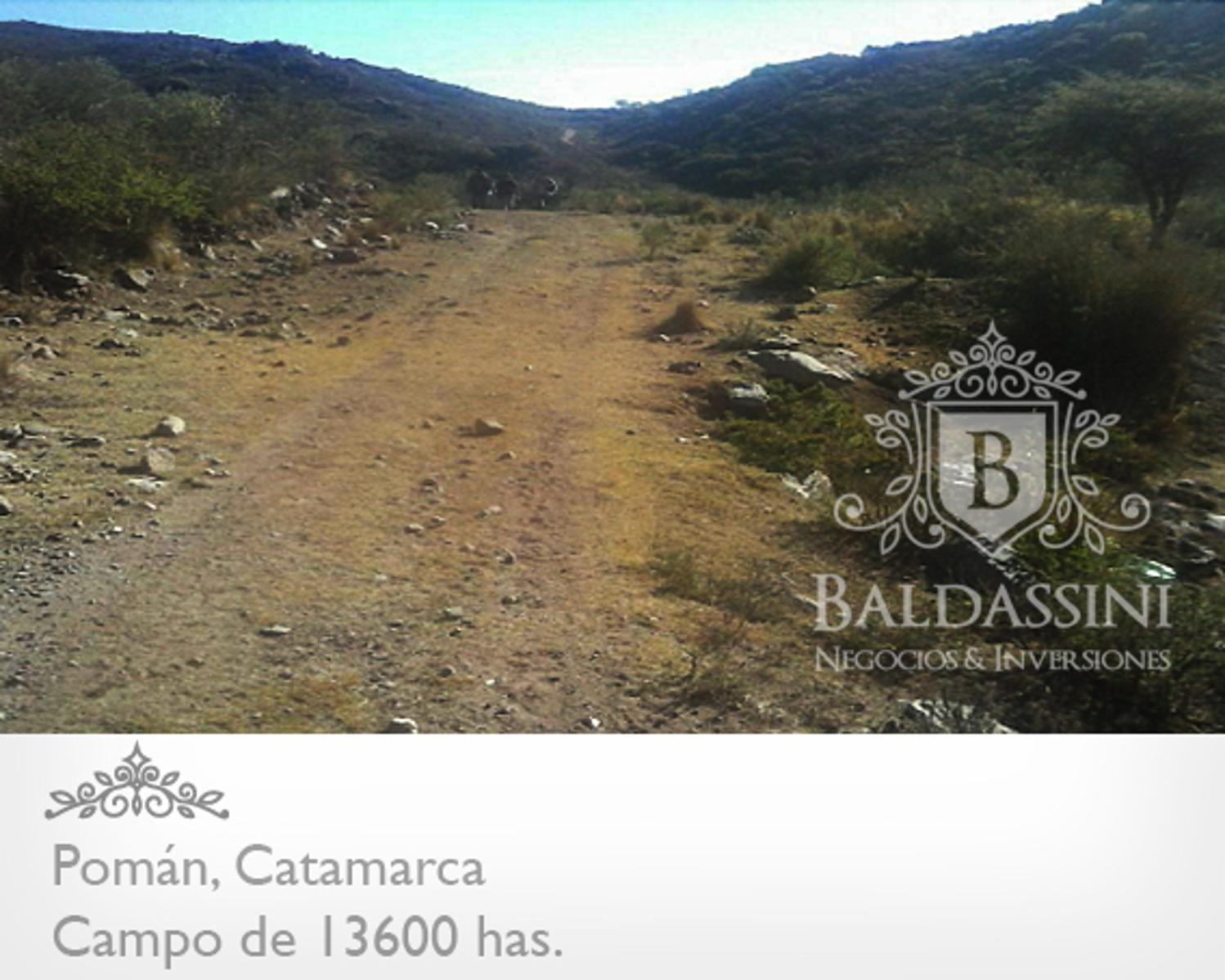 CAMPO GANADERO / AGRÍCOLA DE 13600 HAS. EN POMÁN - CATAMARCA - PLANOS - MENSURA - ESCRITURA - U$S 20.- X HA. - 2