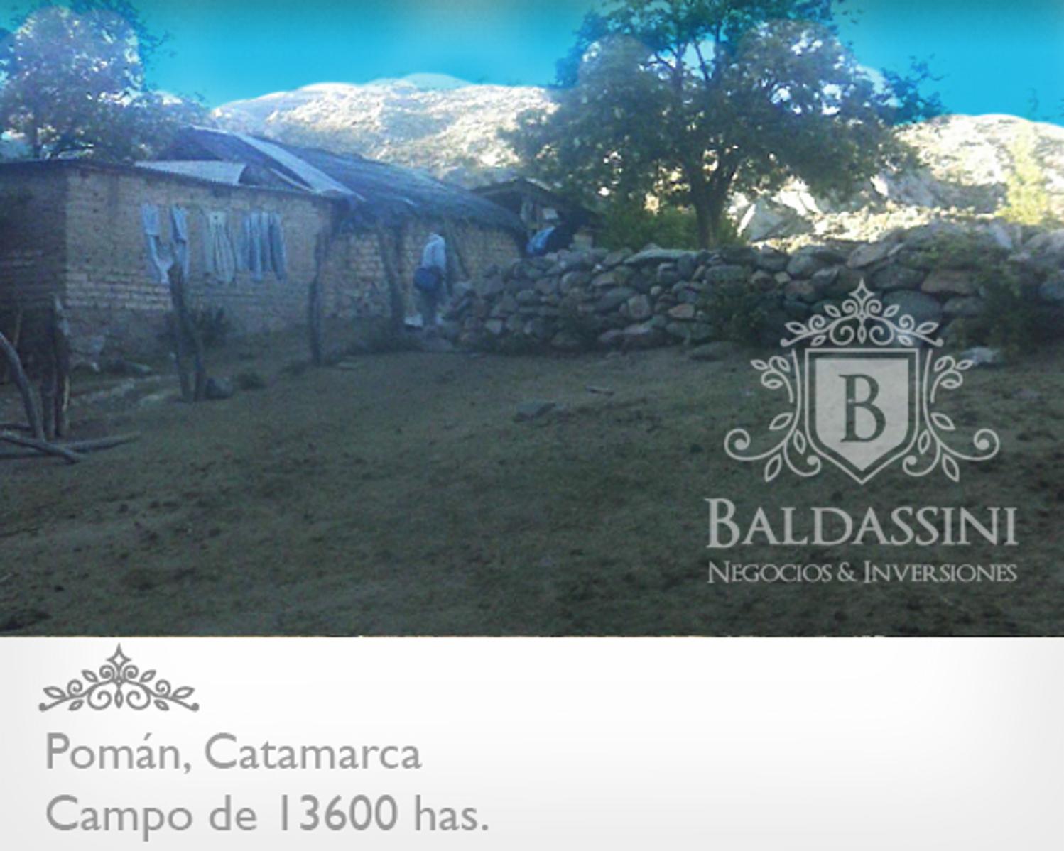 CAMPO GANADERO / AGRÍCOLA DE 13600 HAS. EN POMÁN - CATAMARCA - PLANOS - MENSURA - ESCRITURA - U$S 20.- X HA. - 4