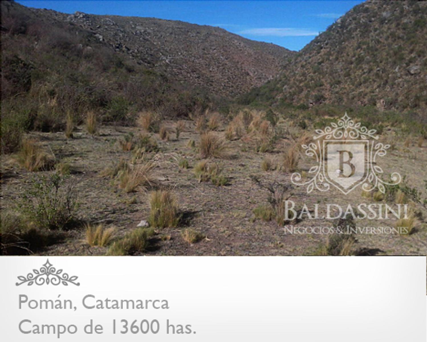 CAMPO GANADERO / AGRÍCOLA DE 13600 HAS. EN POMÁN - CATAMARCA - PLANOS - MENSURA - ESCRITURA - U$S 20.- X HA. - 5