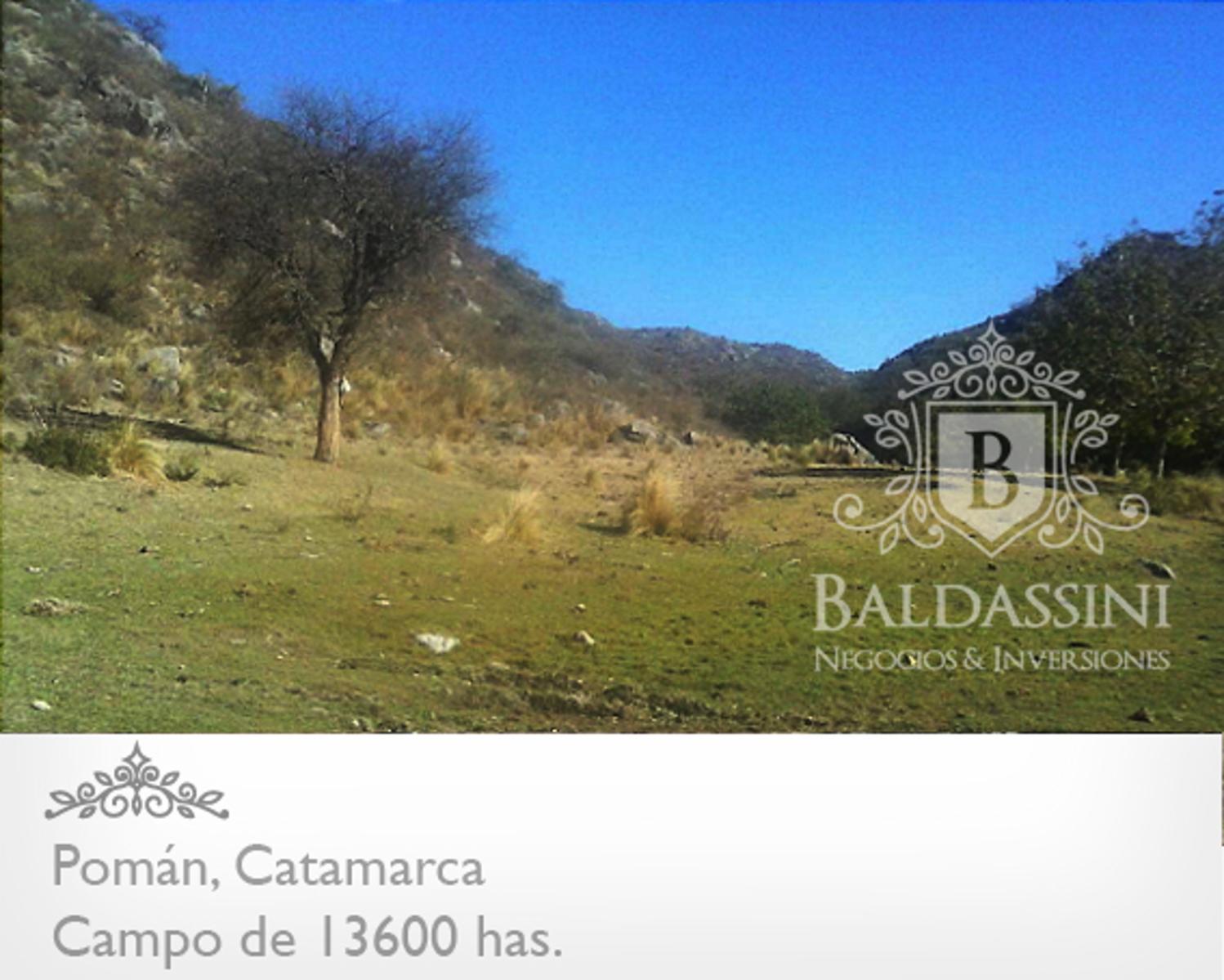 CAMPO GANADERO / AGRÍCOLA DE 13600 HAS. EN POMÁN - CATAMARCA - PLANOS - MENSURA - ESCRITURA - U$S 20.- X HA. - 6