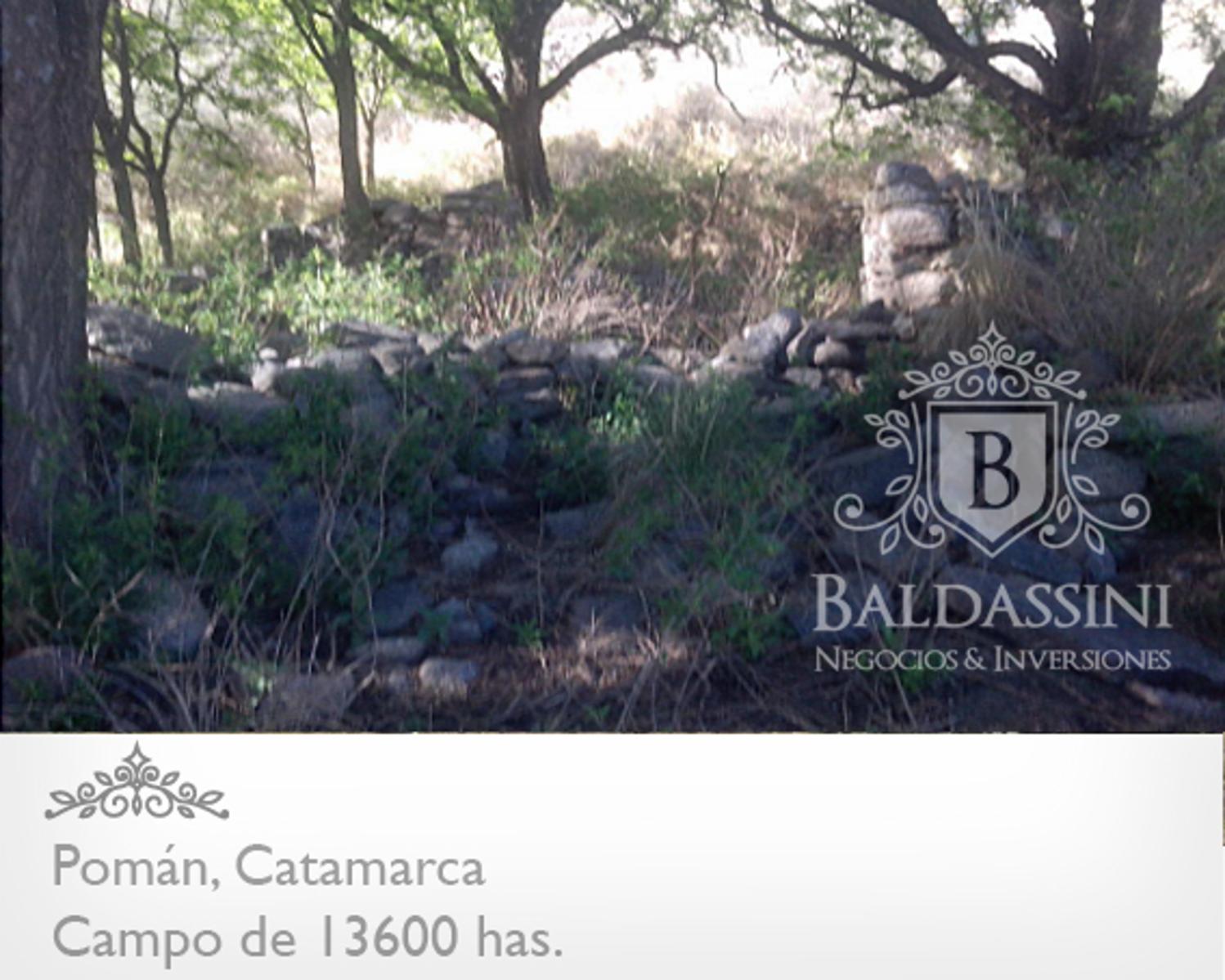 CAMPO GANADERO / AGRÍCOLA DE 13600 HAS. EN POMÁN - CATAMARCA - PLANOS - MENSURA - ESCRITURA - U$S 20.- X HA. - 7