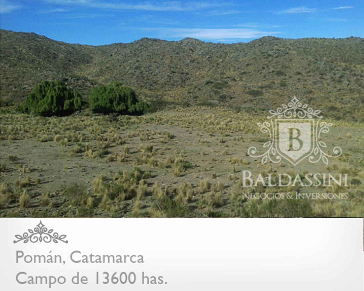 CAMPO GANADERO / AGRÍCOLA DE 13600 HAS. EN POMÁN - CATAMARCA - PLANOS - MENSURA - ESCRITURA - U$S 20.- X HA. - 9