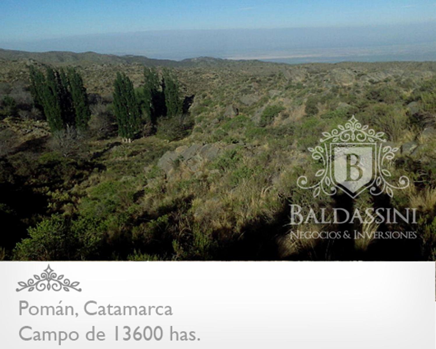 CAMPO GANADERO / AGRÍCOLA DE 13600 HAS. EN POMÁN - CATAMARCA - PLANOS - MENSURA - ESCRITURA - U$S 20.- X HA. - 13