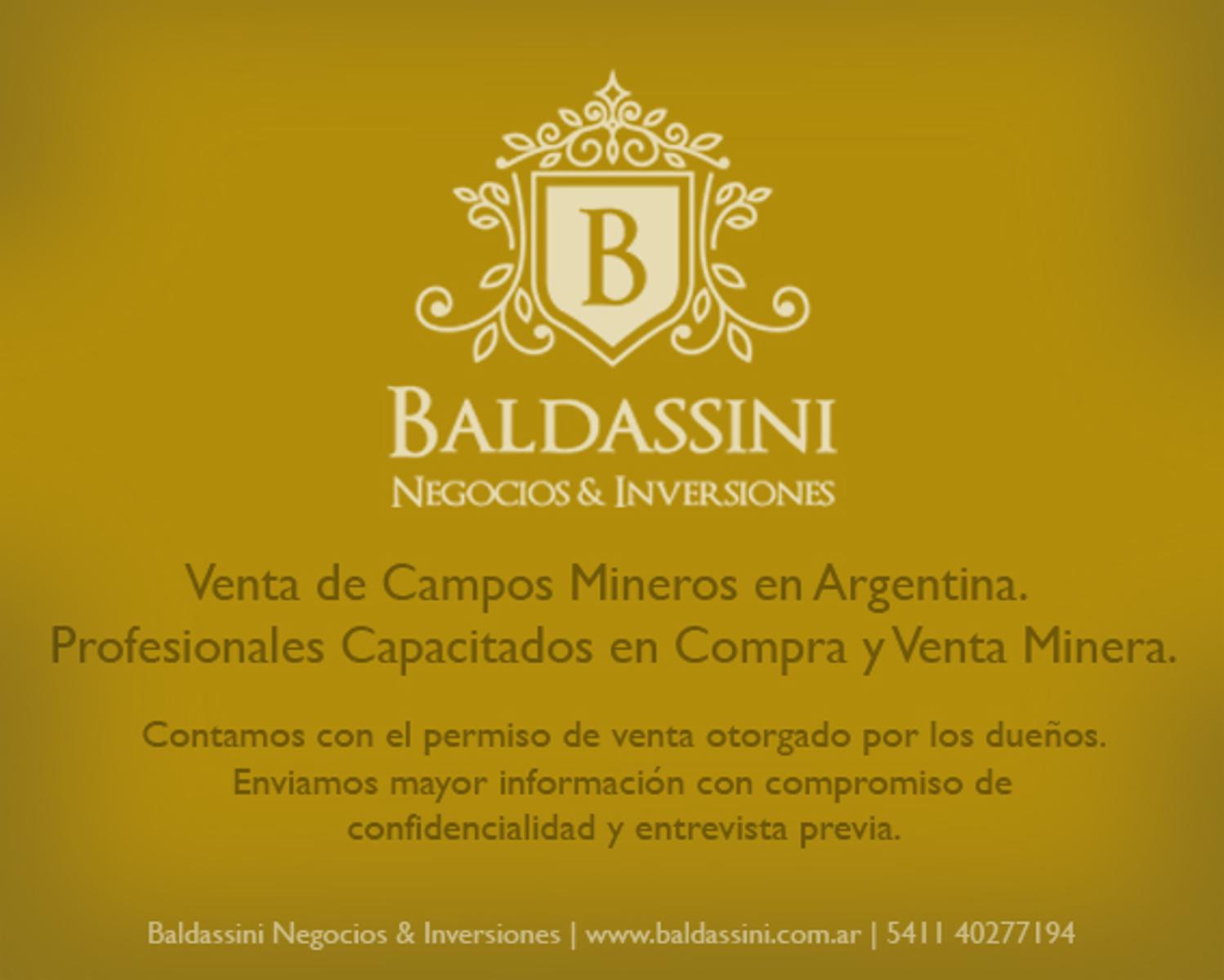 LITHIUM MINE / MINA DE LITIO EN SALTA, Argentina - 1460 HAS - 1