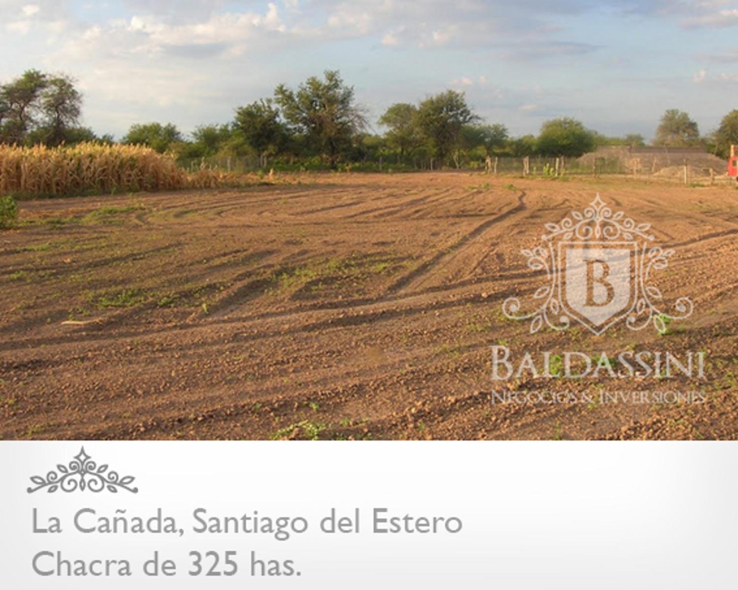 OPORTUNIDAD! CAMPO DE 325 HAS EN LA CAÑADA, SANTIAGO DEL ESTERO CON MUCHÍSIMAS MEJORAS. ESCRITURA Y MENSURA. - 2
