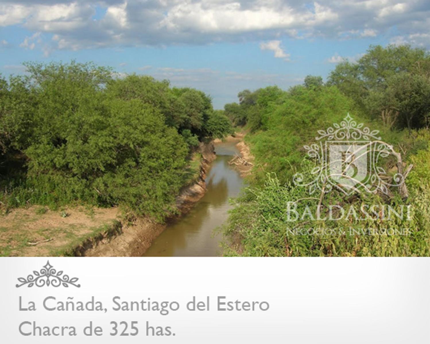 OPORTUNIDAD! CAMPO DE 325 HAS EN LA CAÑADA, SANTIAGO DEL ESTERO CON MUCHÍSIMAS MEJORAS. ESCRITURA Y MENSURA. - 3
