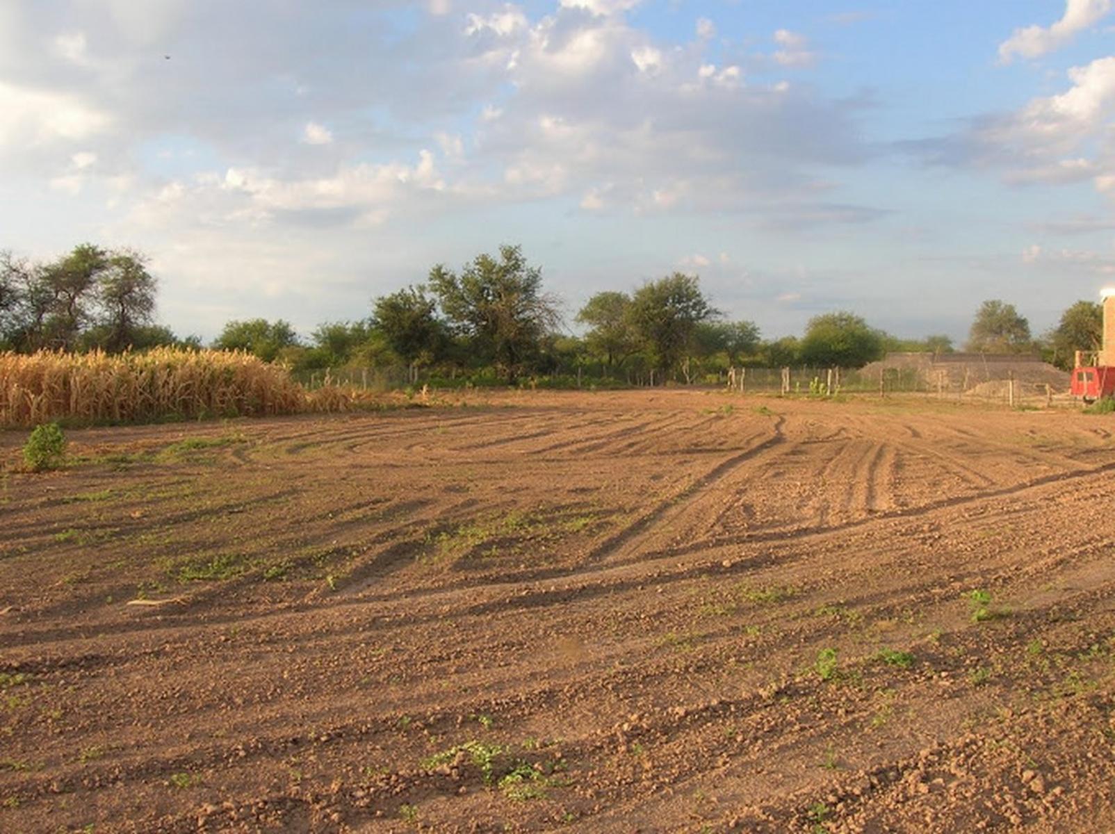 OPORTUNIDAD! CAMPO DE 325 HAS EN LA CAÑADA, SANTIAGO DEL ESTERO CON MUCHÍSIMAS MEJORAS. ESCRITURA Y MENSURA. - 4