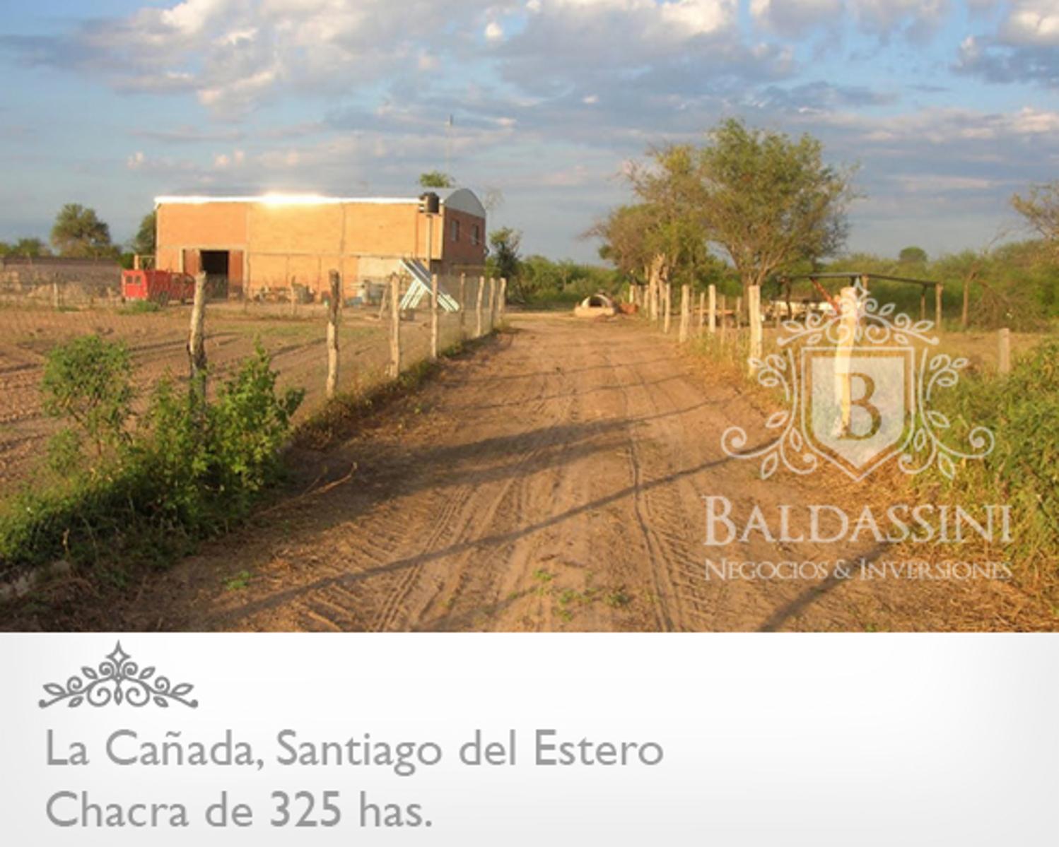 OPORTUNIDAD! CAMPO DE 325 HAS EN LA CAÑADA, SANTIAGO DEL ESTERO CON MUCHÍSIMAS MEJORAS. ESCRITURA Y MENSURA. - 6