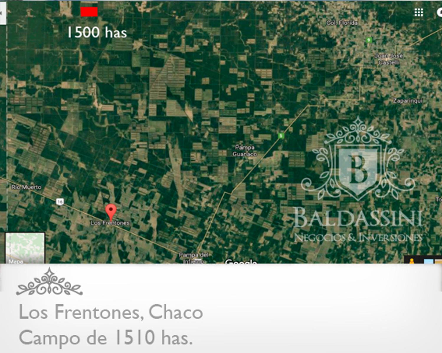 CAMPO DE 1510 HAS EN LOS FRENTONES - CHACO - CAMPO GANADERO CON MUY BUENA APTITUD AGRÍCOLA. - 1