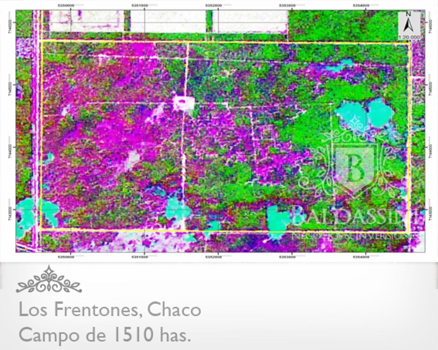 CAMPO DE 1510 HAS EN LOS FRENTONES - CHACO - CAMPO GANADERO CON MUY BUENA APTITUD AGRÍCOLA. - 3