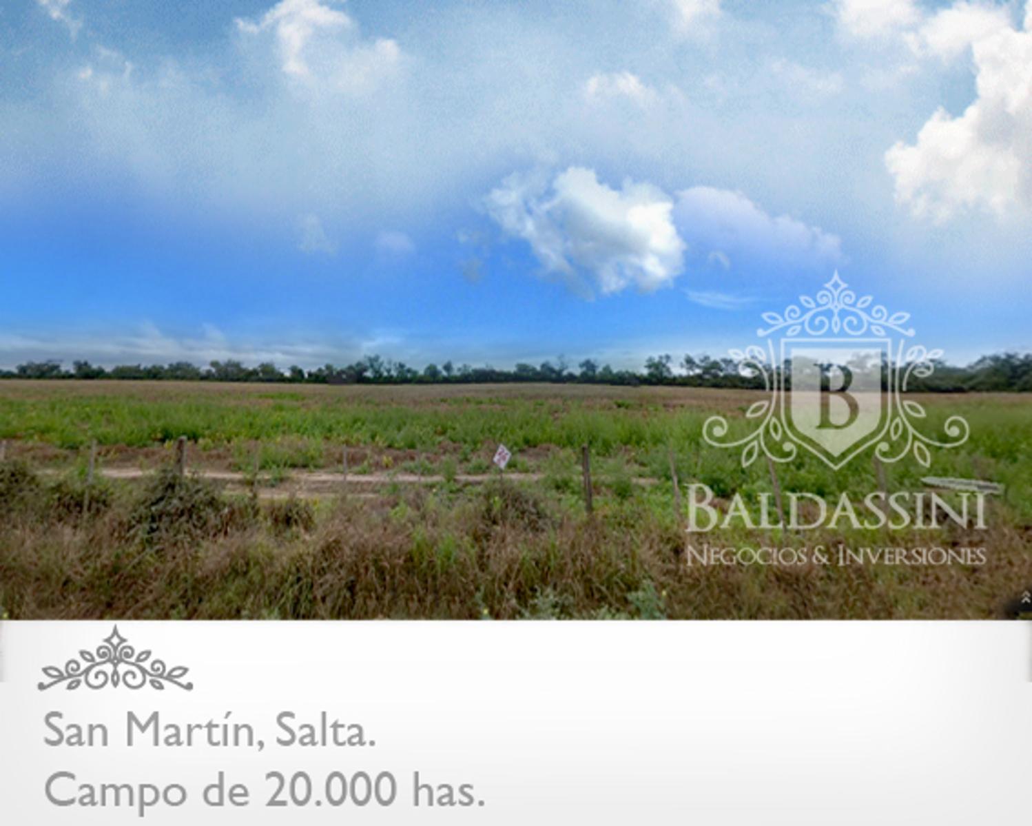 CAMPO MIXTO DE 20.422 HAS EN SAN MARTÍN, PROVINCIA DE SALTA. ALTAMENTE PRODUCTIVO. EQUIPADO Y ARMADO. LADO SUR CON FRONTERA A BOLIVIA. CON PISTA DE ATERRIZAJE. - 1