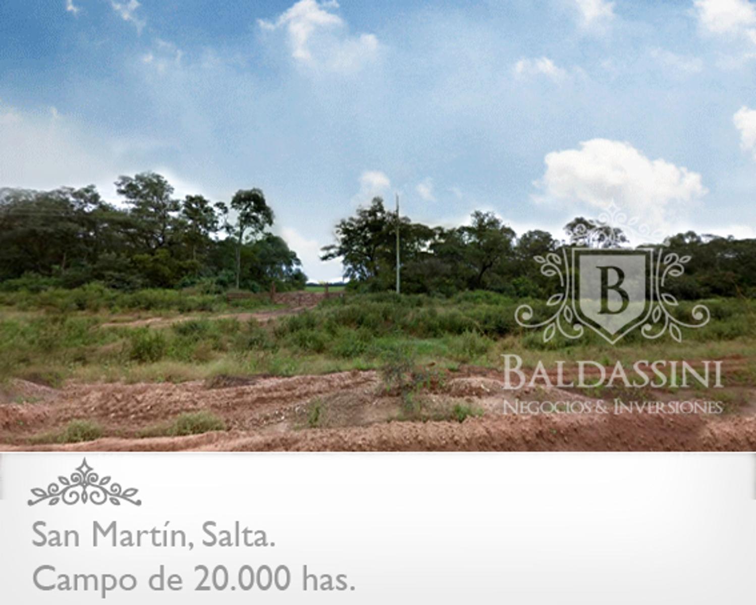 CAMPO MIXTO DE 20.422 HAS EN SAN MARTÍN, PROVINCIA DE SALTA. ALTAMENTE PRODUCTIVO. EQUIPADO Y ARMADO. LADO SUR CON FRONTERA A BOLIVIA. CON PISTA DE ATERRIZAJE. - 2