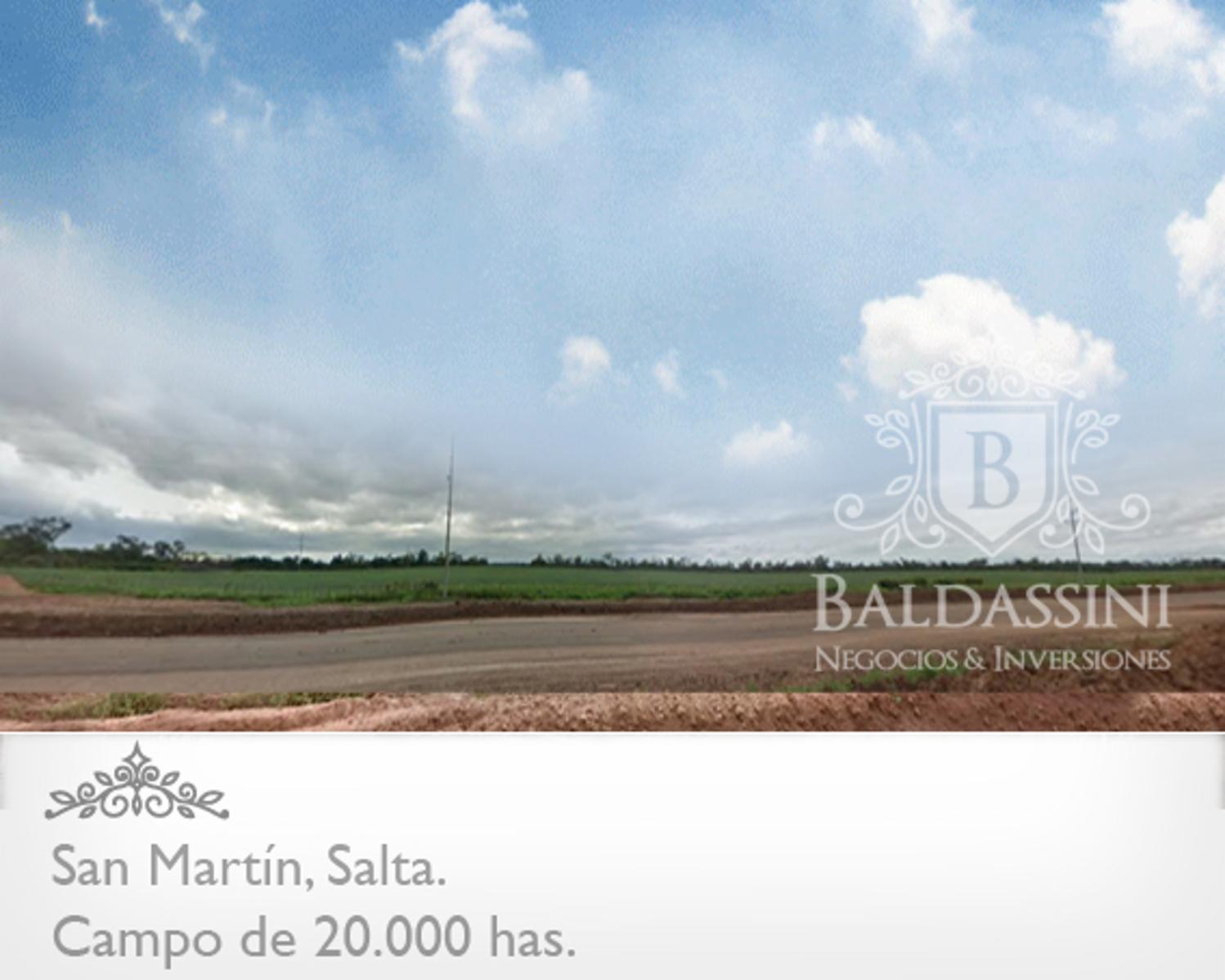 CAMPO MIXTO DE 20.422 HAS EN SAN MARTÍN, PROVINCIA DE SALTA. ALTAMENTE PRODUCTIVO. EQUIPADO Y ARMADO. LADO SUR CON FRONTERA A BOLIVIA. CON PISTA DE ATERRIZAJE. - 3