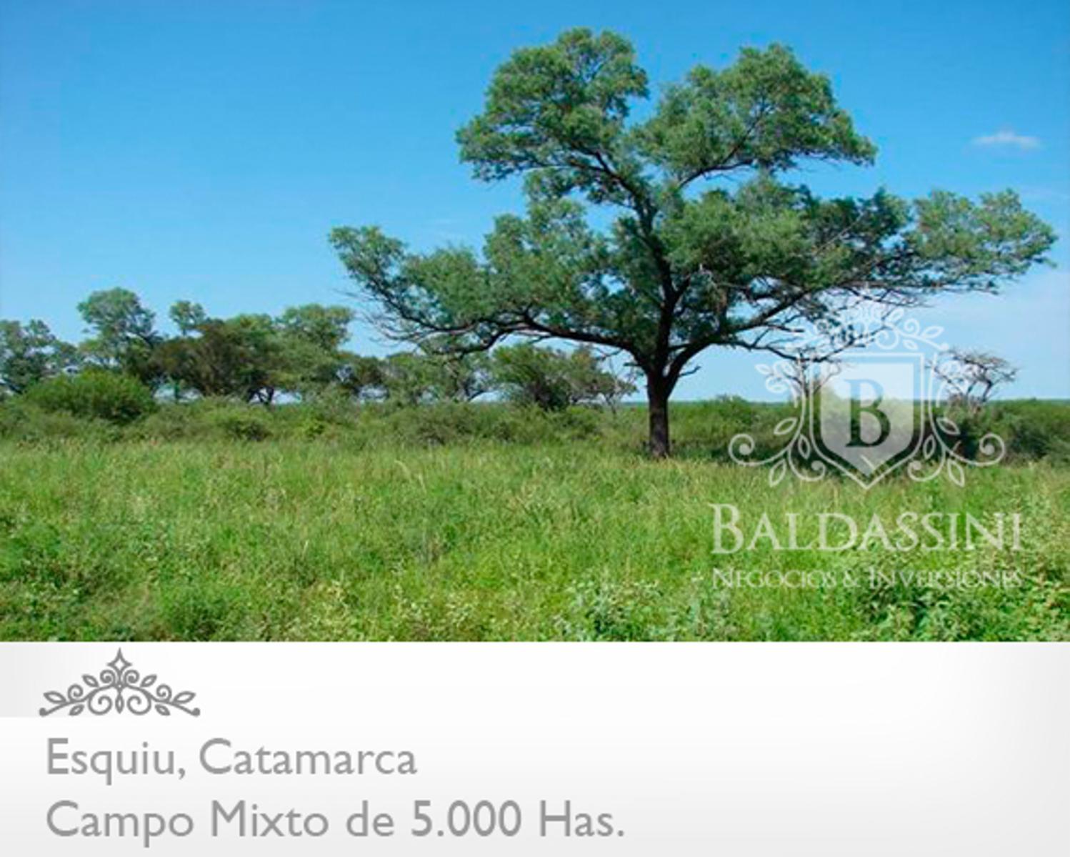 Campo Mixto 5000 has en Esquiú, Catamarca, Argentina - 1