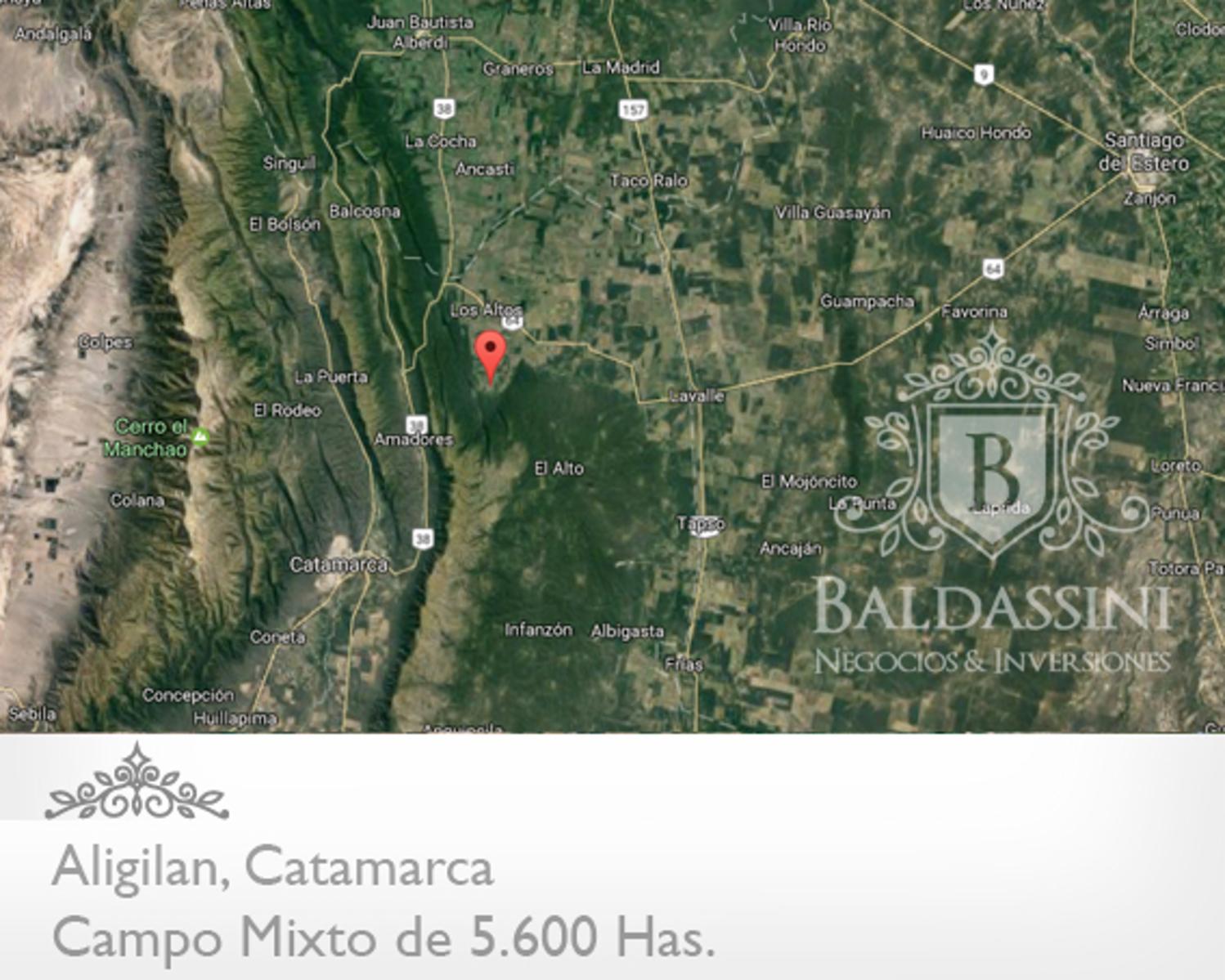 Campo Mixto 5600 has en Alijilán Pcia de Catamarca - 1