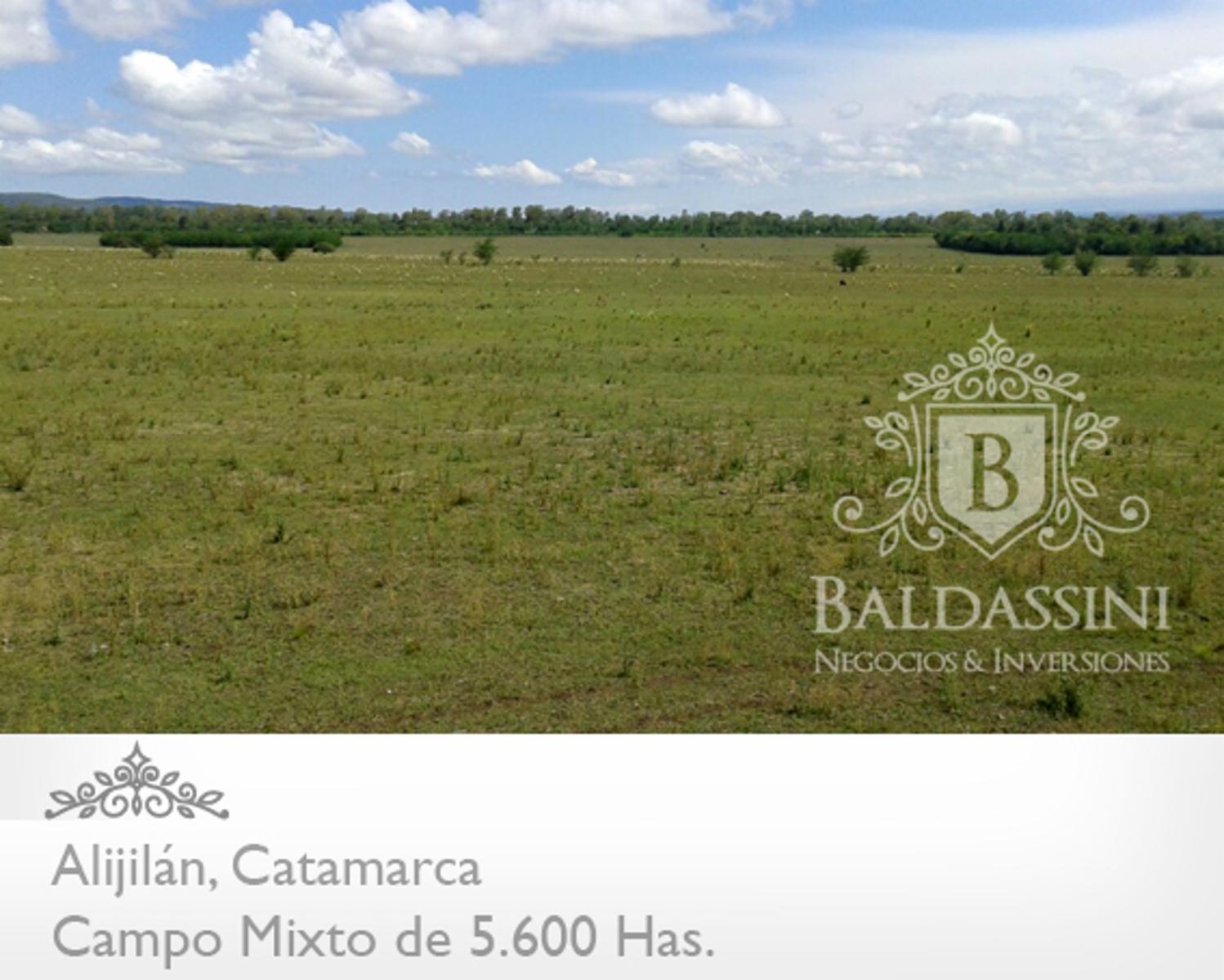 Campo Mixto 5600 has en Alijilán Pcia de Catamarca - 2