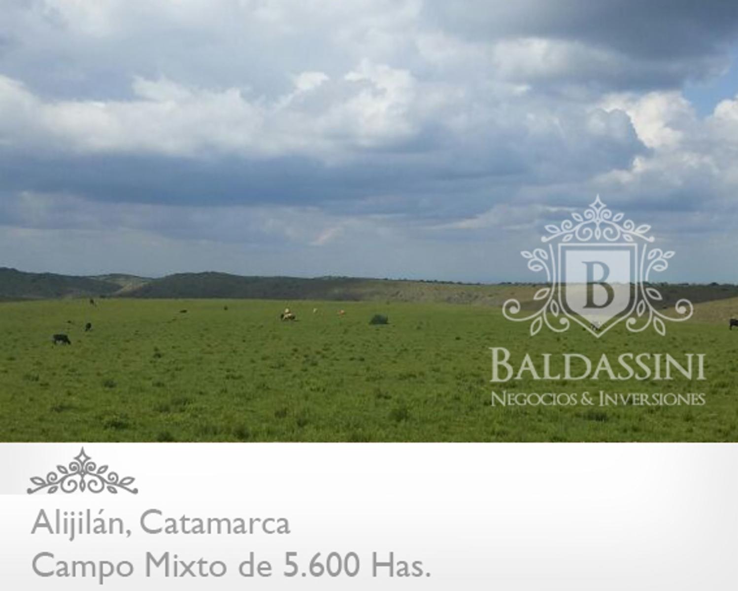 Campo Mixto 5600 has en Alijilán Pcia de Catamarca - 3