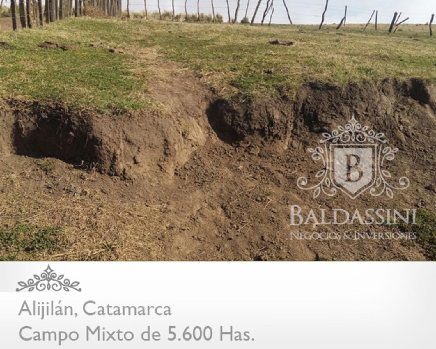 Campo Mixto 5600 has en Alijilán Pcia de Catamarca - 4