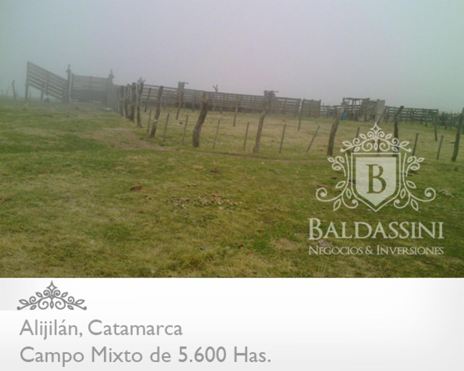 Campo Mixto 5600 has en Alijilán Pcia de Catamarca - 5
