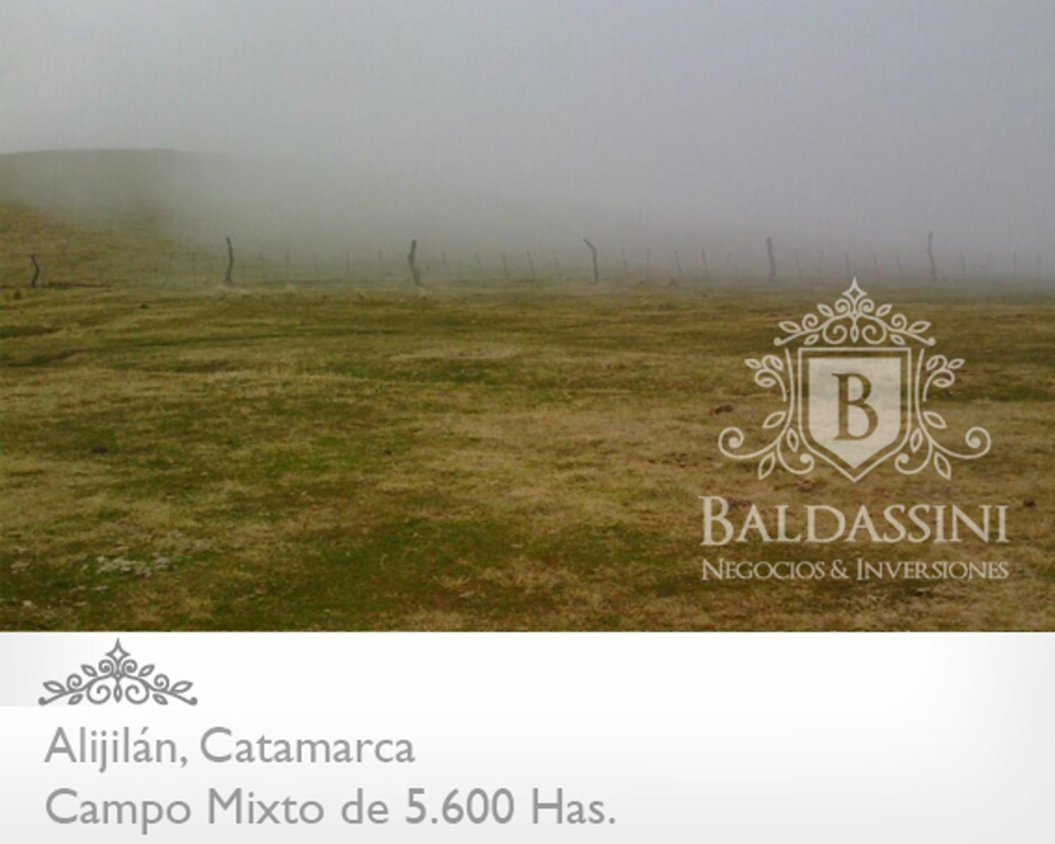Campo Mixto 5600 has en Alijilán Pcia de Catamarca - 6