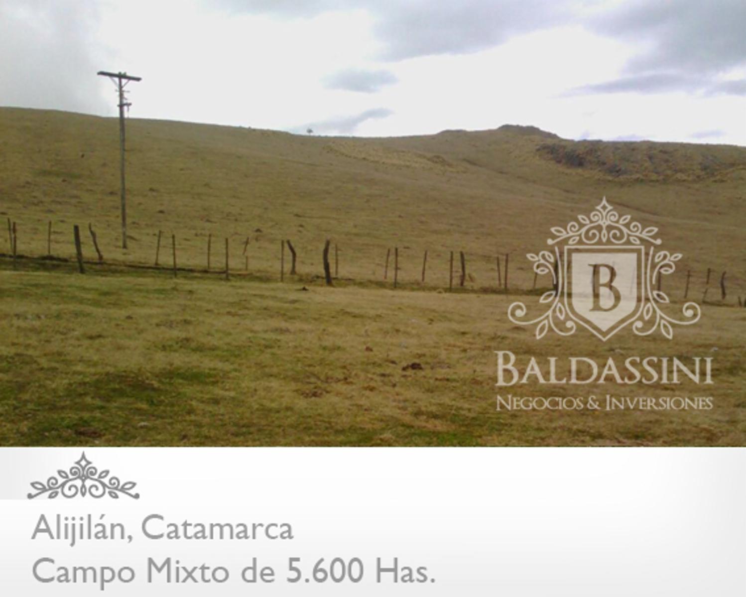 Campo Mixto 5600 has en Alijilán Pcia de Catamarca - 7