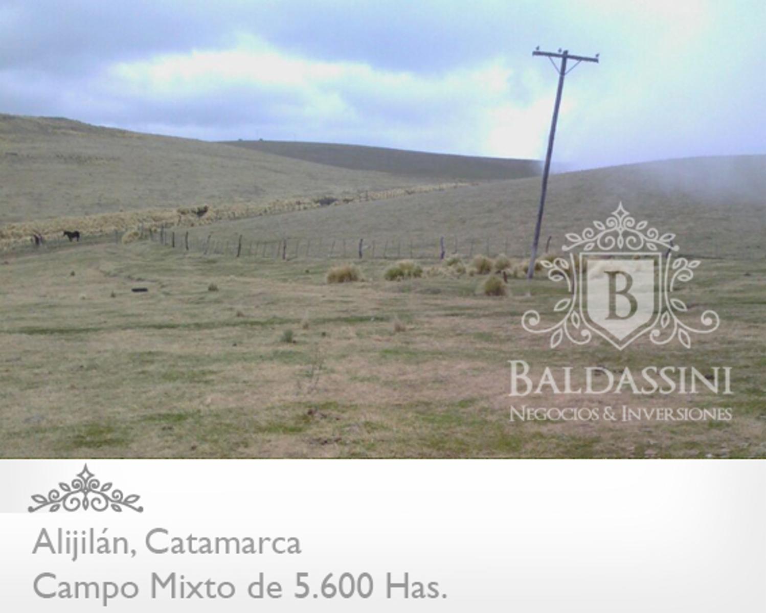 Campo Mixto 5600 has en Alijilán Pcia de Catamarca - 8